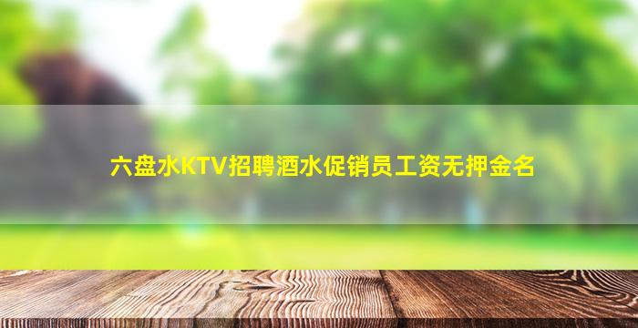 六盘水KTV招聘酒水促销员工资无押金名